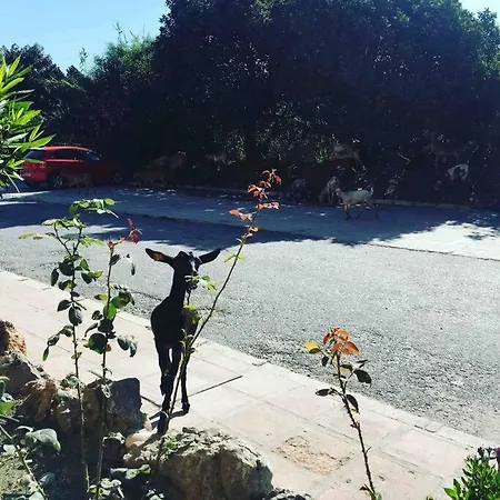 Apartman Rio Marinas 15 Playazo Nerja