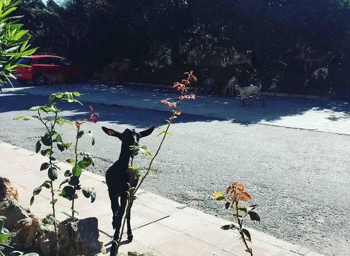 아파트 Rio Marinas 15 Playazo 네르하